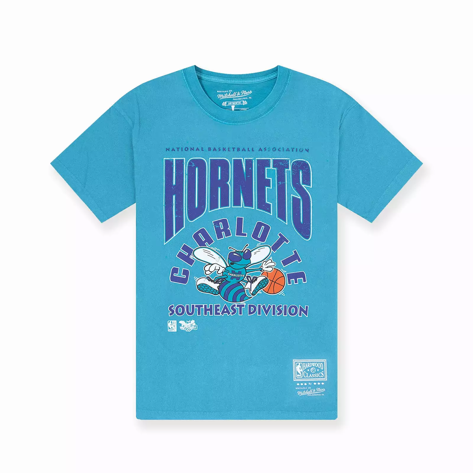 Charlotte Hornets Division Arch Vintage Tee - Faded Teal