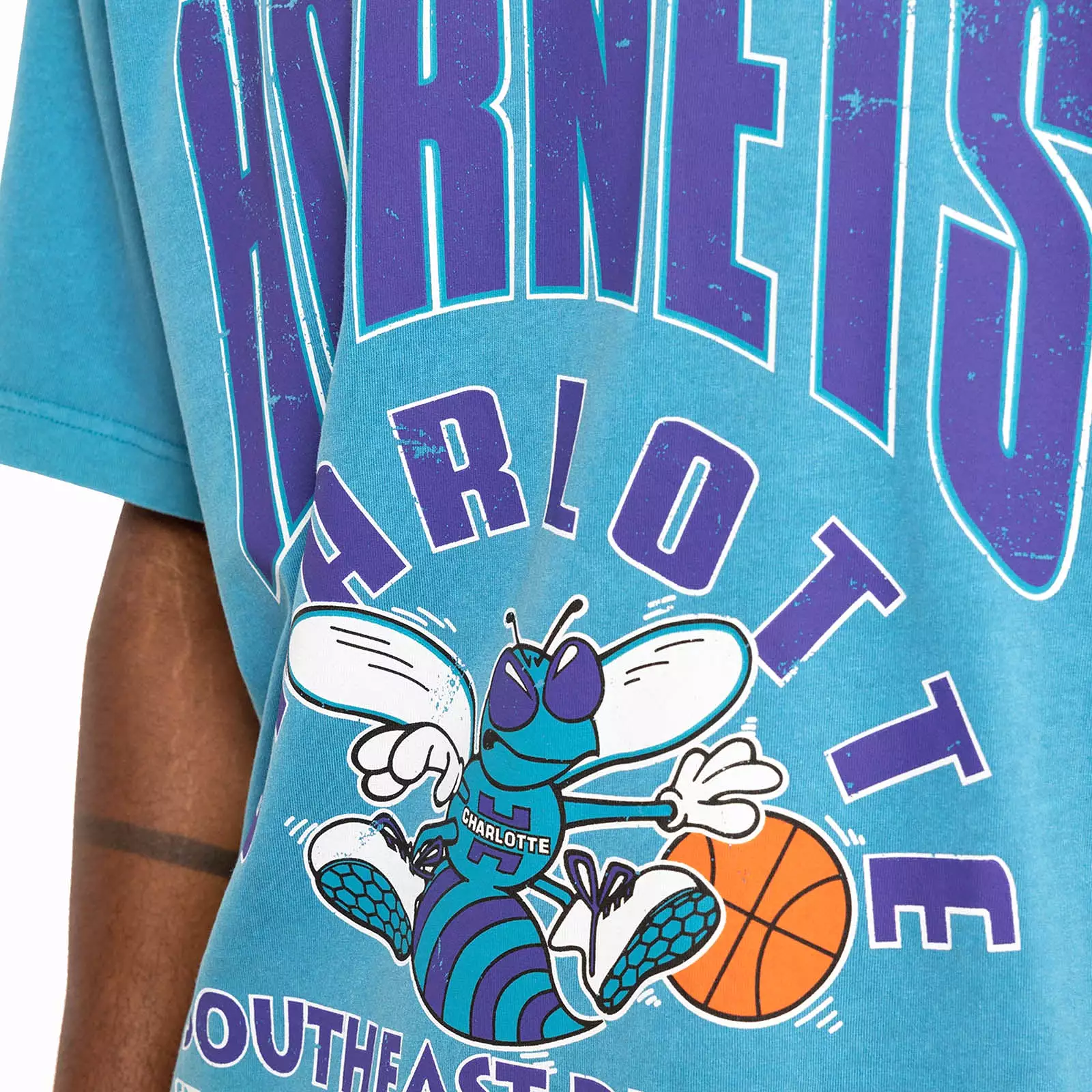 Charlotte Hornets Division Arch Vintage Tee - Faded Teal