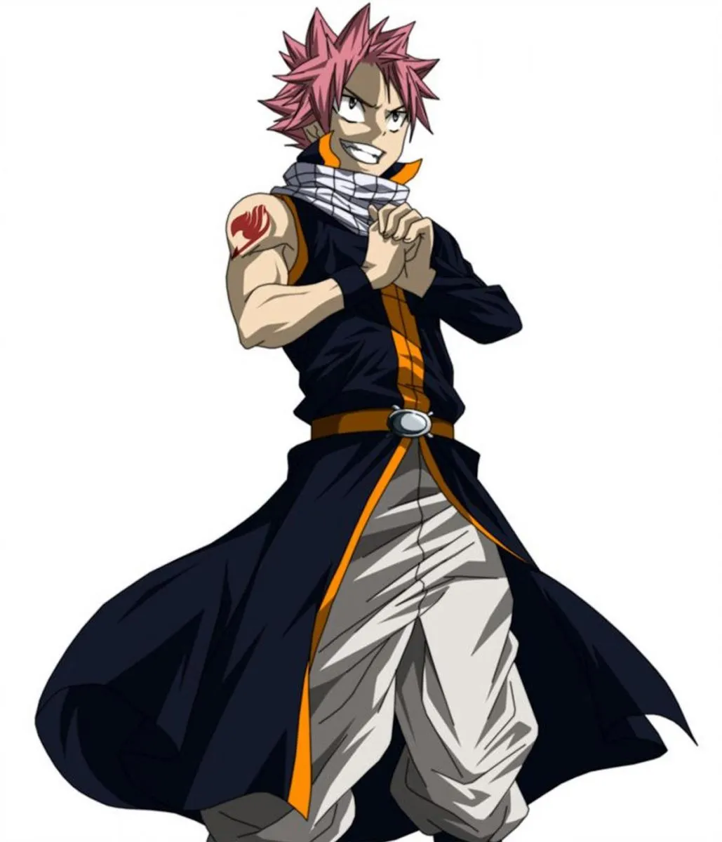 Natsu Dragneel Fairy Tail Cotton Black Coat