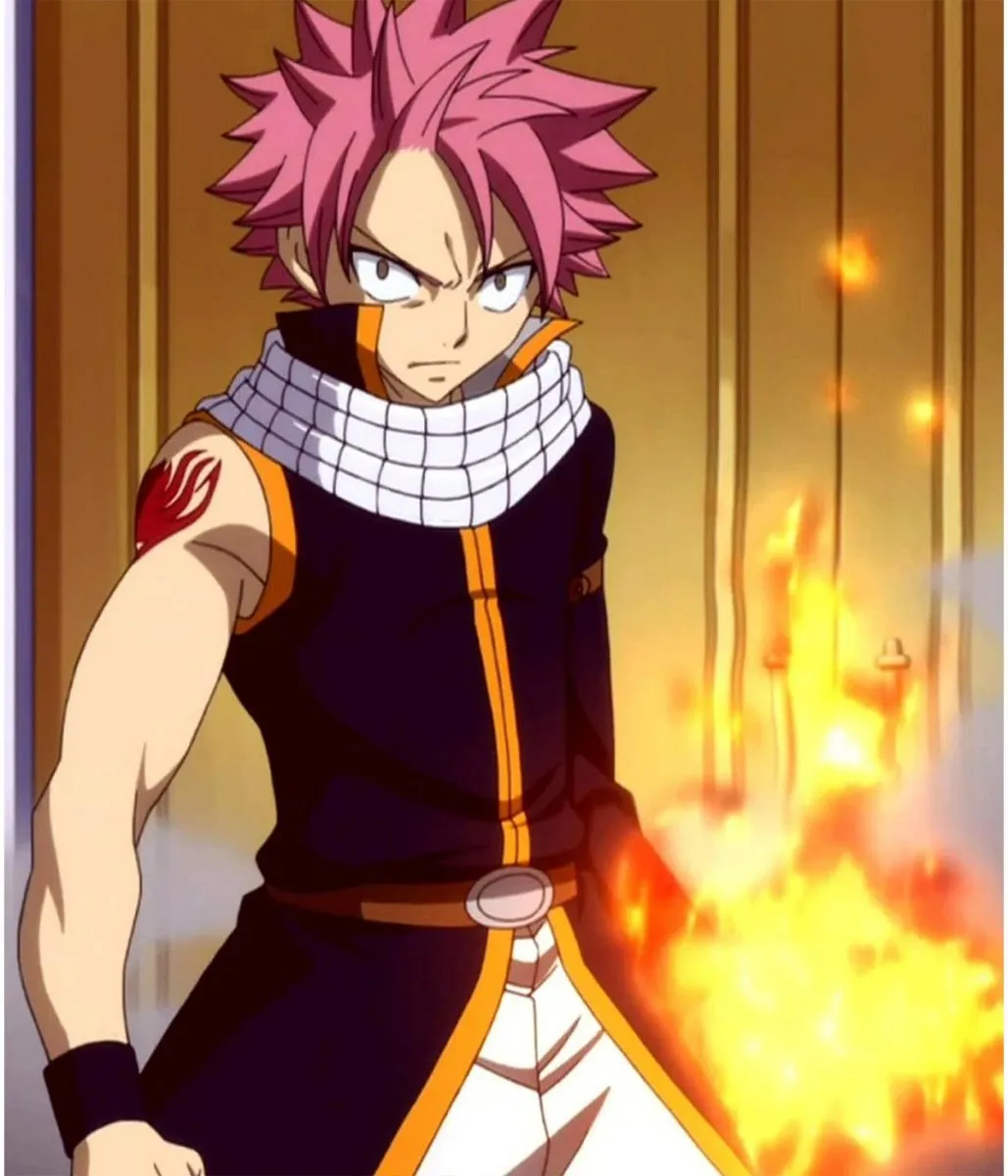 Natsu Dragneel Fairy Tail Cotton Black Coat