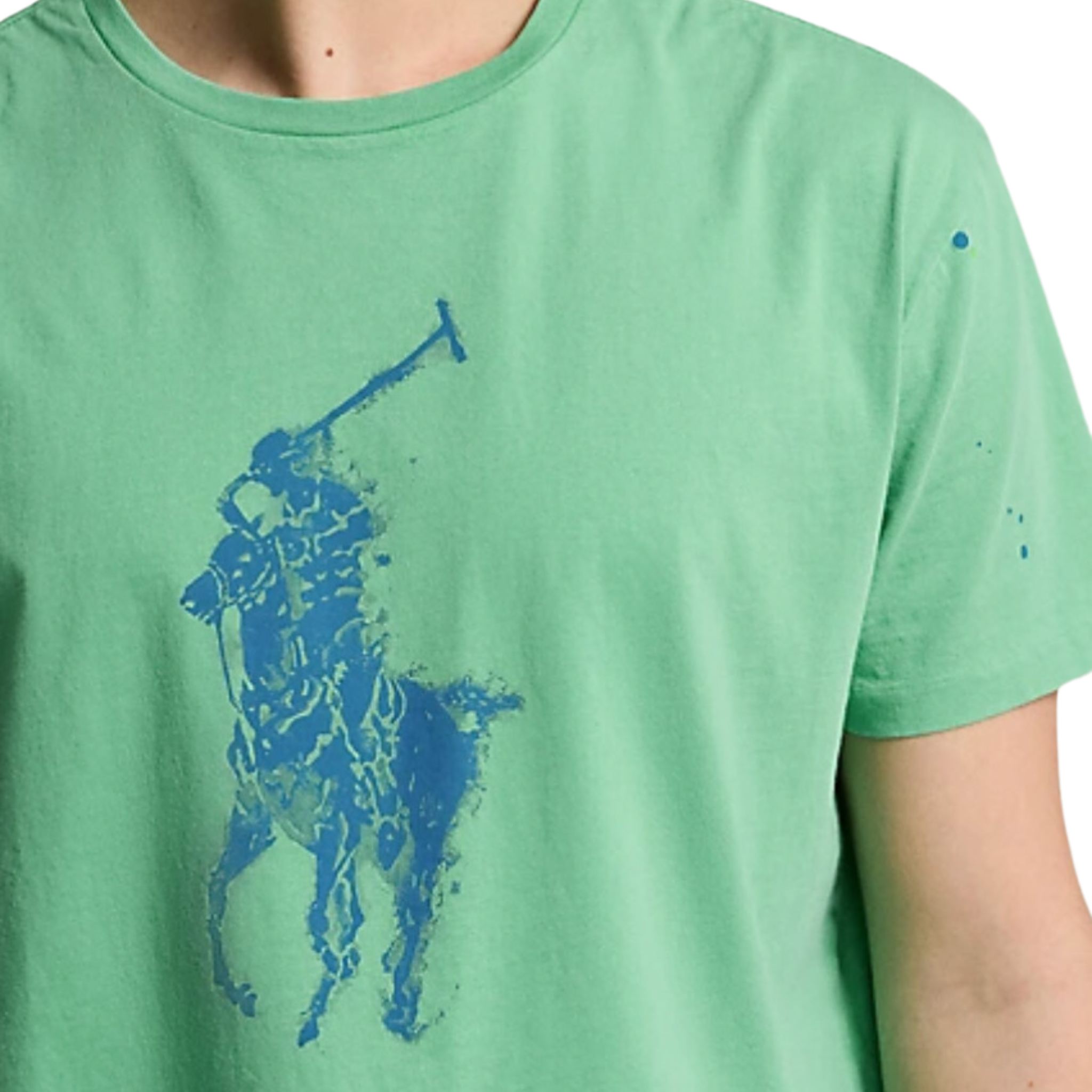 Polo Ralph Lauren Classic Fit Big Pony Jersey T-Shirt (Vineyard Green)