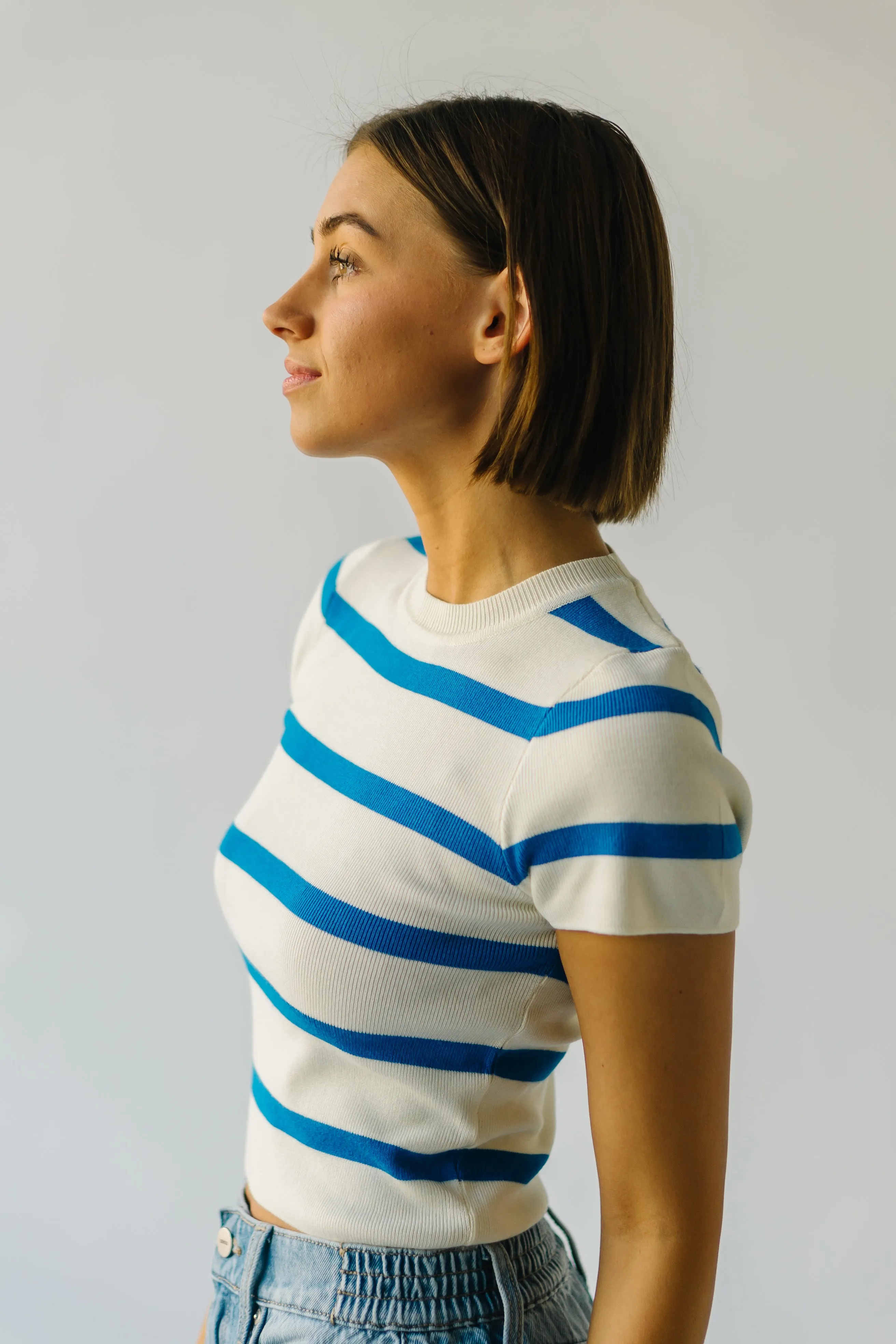 The Dundee Bold Striped Tee in Blue + White