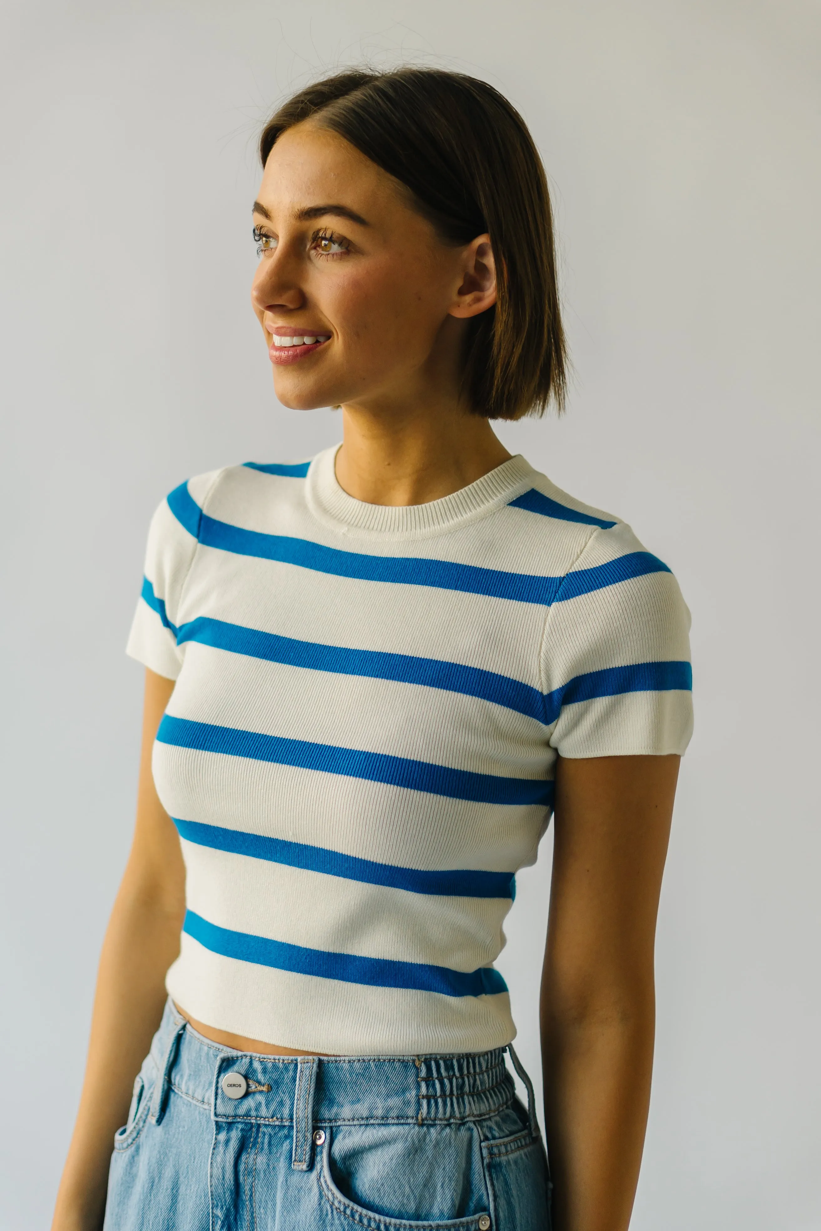 The Dundee Bold Striped Tee in Blue + White