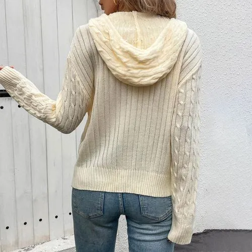 Women's Coat Sweater Long Sleeve Sweaters & Cardigans Pocket Casual Streetwear Solid Color